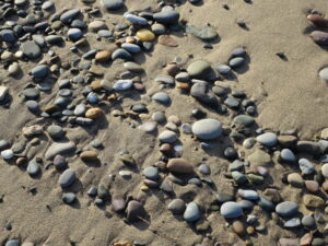 Spurn Head, Yorkshire Photo: Malcolm Wren