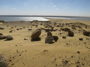 Fayoum, Egypt Photo: Malcolm Wren