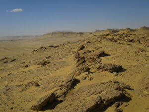 Sahara, Egypt. Photo: Malcolm Wren