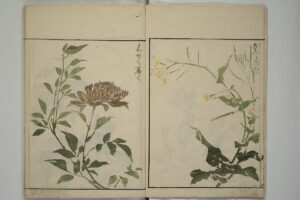 Kuwagata Keisai, How to Draw Plants and Flowers Simply, 1813