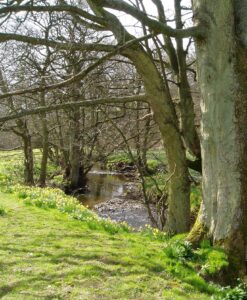 Beck, Farndale, Yorkshire. Photo: Malcolm Wren