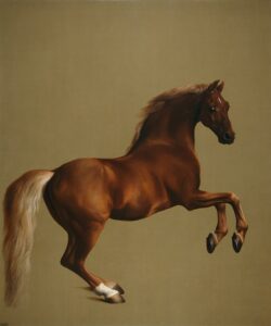 Stubbs, Whistlejacket, c. 1762